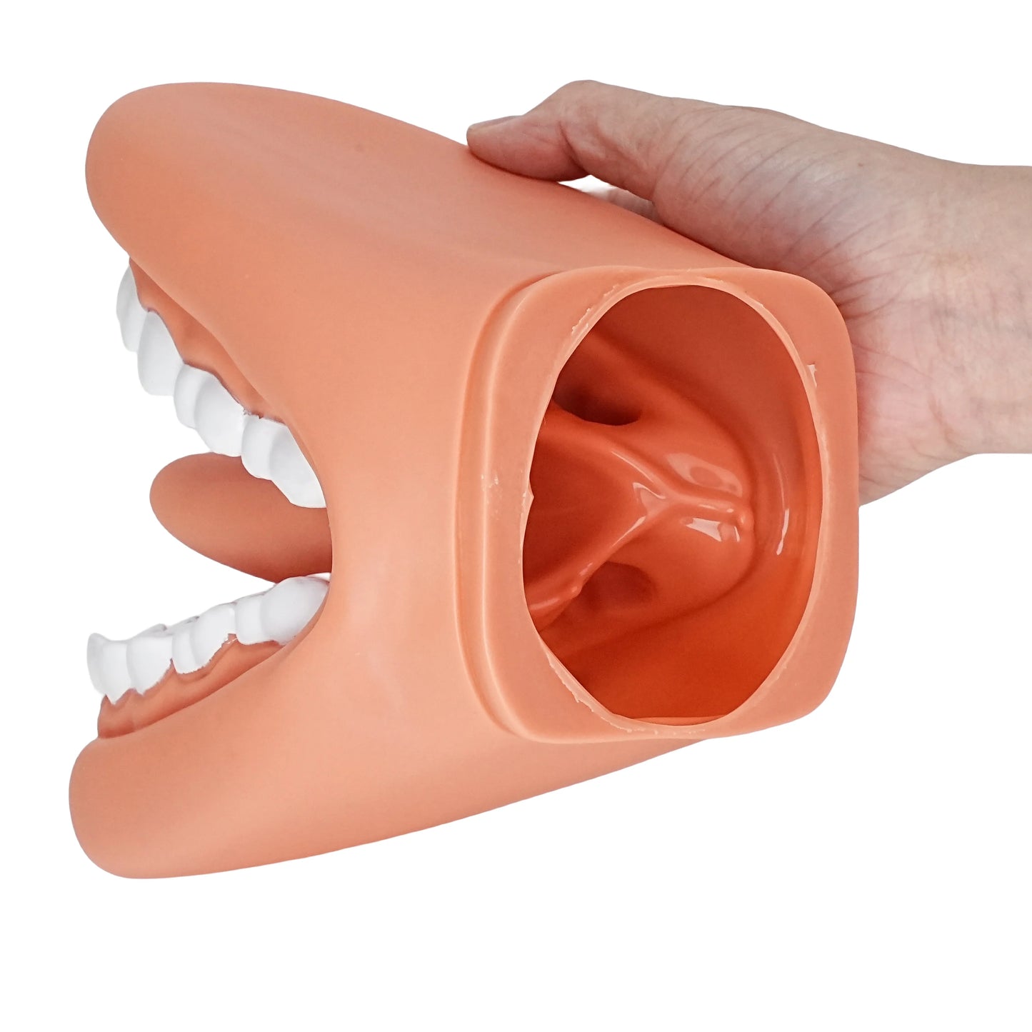 Children's Mouth Puppets, 28 Teeth Tongue Mouth Puppet with Toothbrush, Autism Educational Material for Speech Enhancement