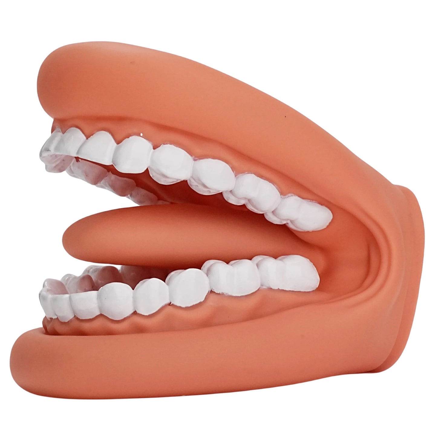 Children's Mouth Puppets, 28 Teeth Tongue Mouth Puppet with Toothbrush, Autism Educational Material for Speech Enhancement