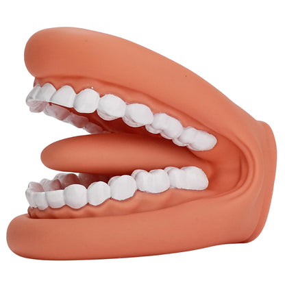 Children's Mouth Puppets, 28 Teeth Tongue Mouth Puppet with Toothbrush, Autism Educational Material for Speech Enhancement