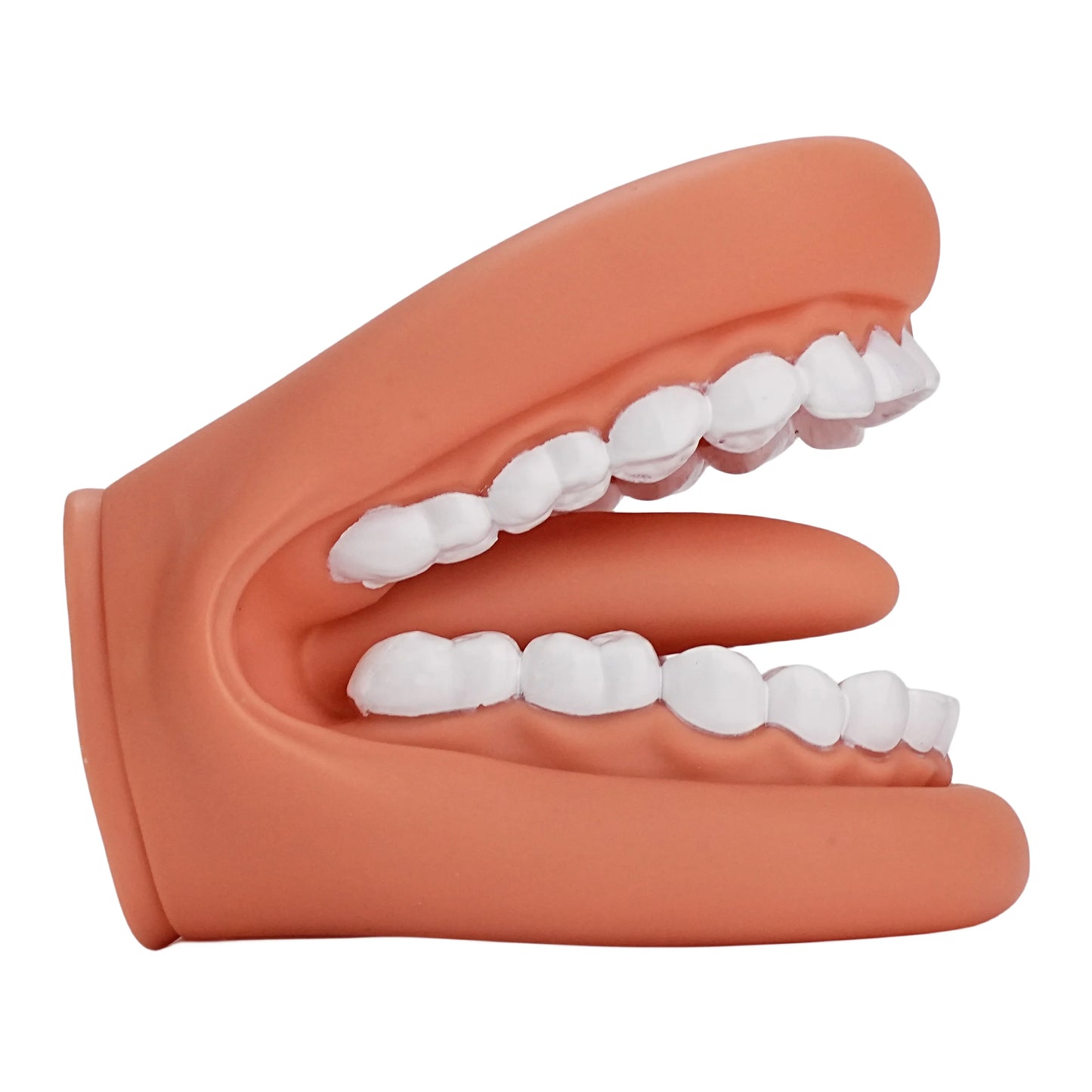 Children's Mouth Puppets, 28 Teeth Tongue Mouth Puppet with Toothbrush, Autism Educational Material for Speech Enhancement