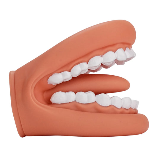 Children's Mouth Puppets, 28 Teeth Tongue Mouth Puppet with Toothbrush, Autism Educational Material for Speech Enhancement