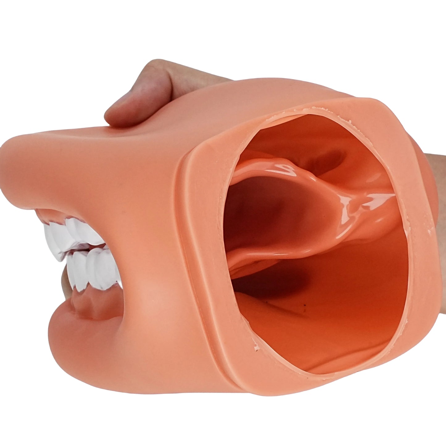 Children's Mouth Puppets, 28 Teeth Tongue Mouth Puppet with Toothbrush, Autism Educational Material for Speech Enhancement