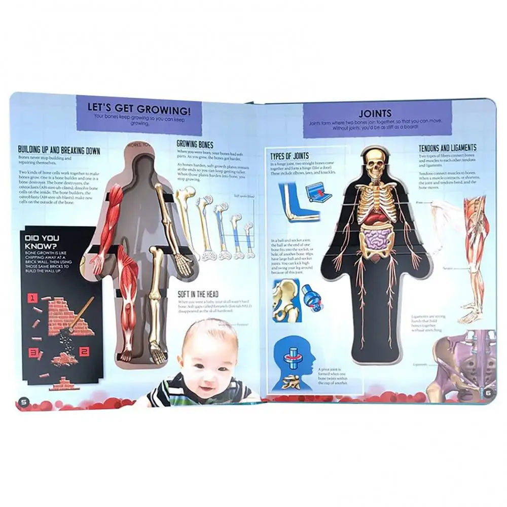 Human Body Structure 3D Picture Anatomy English Popular Science Book Early Education Books Kid Gifts