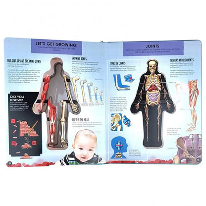 Human Body Structure 3D Picture Anatomy English Popular Science Book Early Education Books Kid Gifts