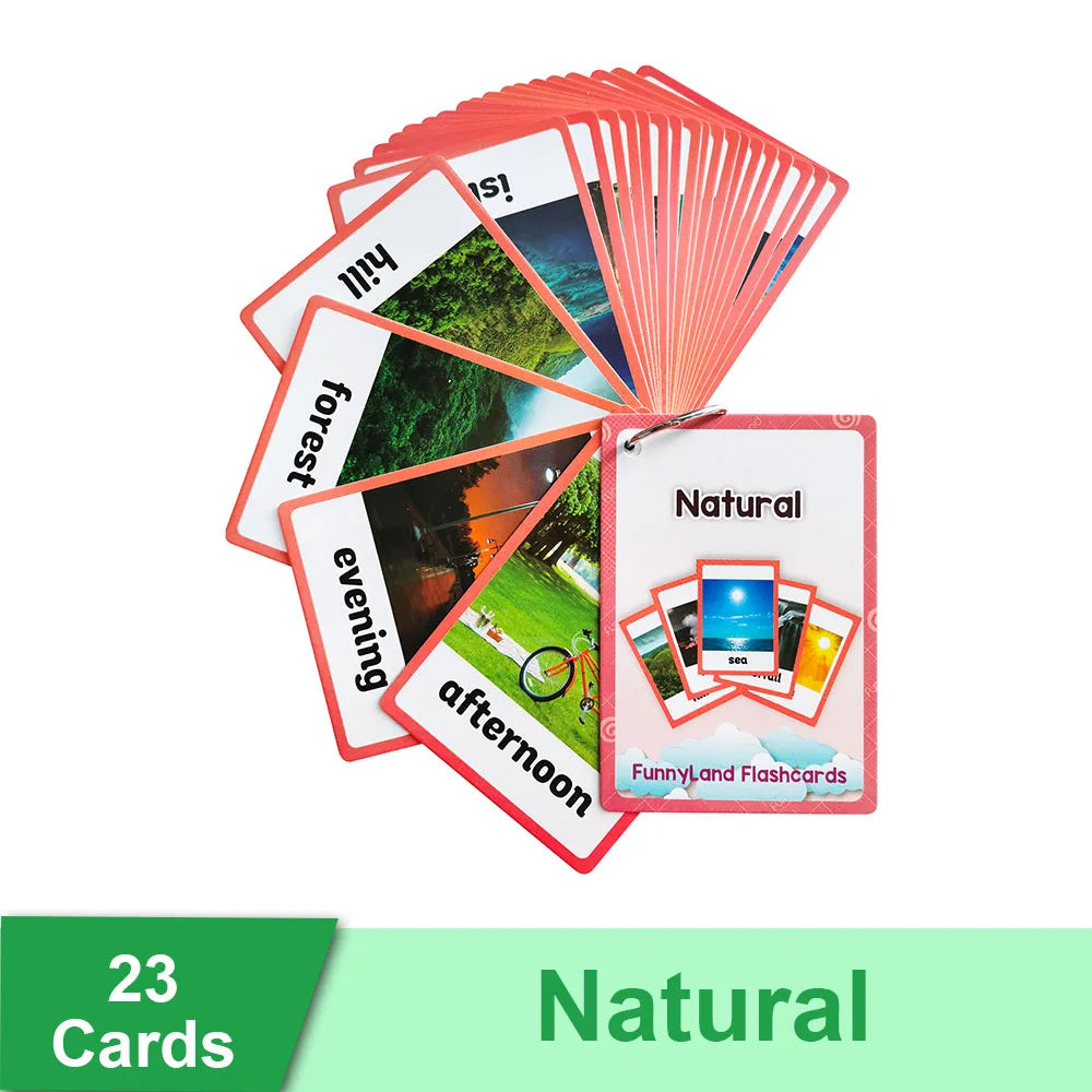 Read & Write English: Kids 3-8 Years English Words Cards Vocabulary Building Montessori Learning Toys Kindergarten Teaching Aids Educational Flashcard