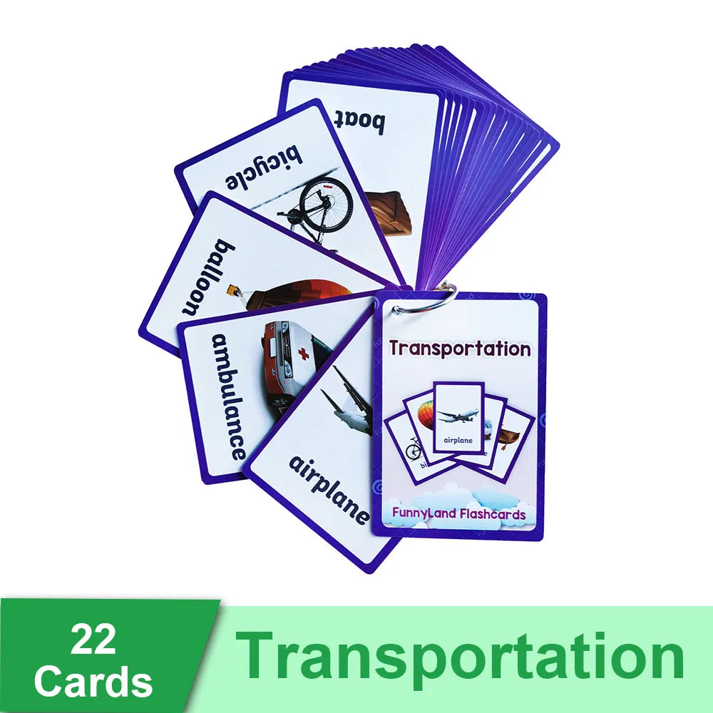 Read & Write English: Kids 3-8 Years English Words Cards Vocabulary Building Montessori Learning Toys Kindergarten Teaching Aids Educational Flashcard