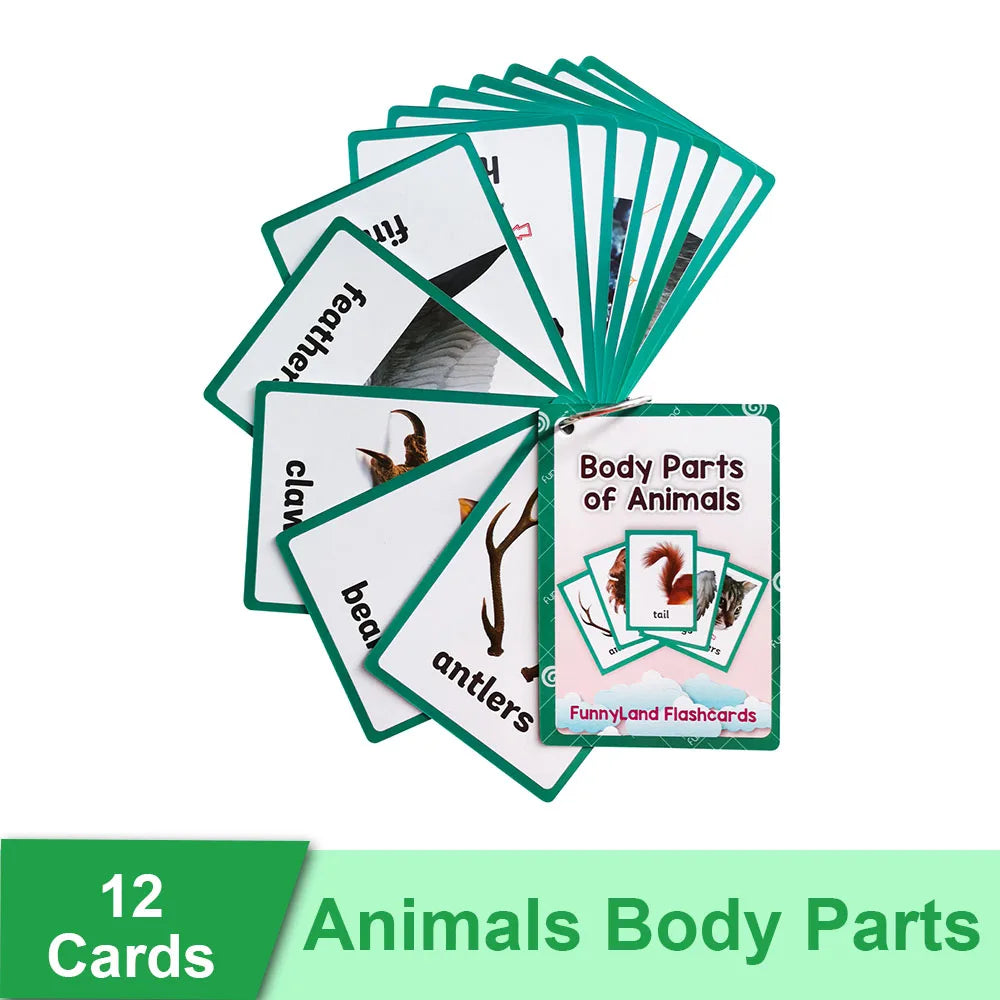 Read & Write English: Kids 3-8 Years English Words Cards Vocabulary Building Montessori Learning Toys Kindergarten Teaching Aids Educational Flashcard