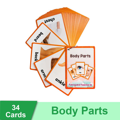 Read & Write English: Kids 3-8 Years English Words Cards Vocabulary Building Montessori Learning Toys Kindergarten Teaching Aids Educational Flashcard