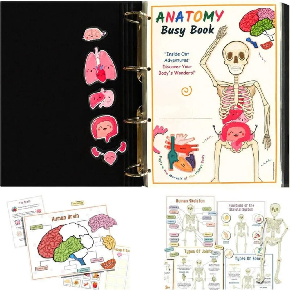 Montessori Human Anatomy Busy Book Autism Sensory Toys Preschool Learning Activities Educational Kindergarten Toddler Busy Book