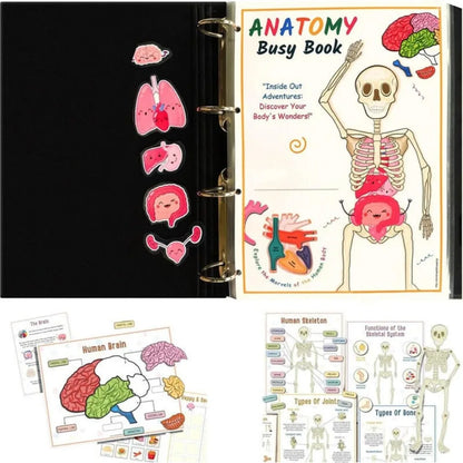 Montessori Human Anatomy Busy Book Autism Sensory Toys Preschool Learning Activities Educational Kindergarten Toddler Busy Book