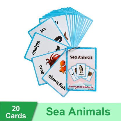 Read & Write English: Kids 3-8 Years English Words Cards Vocabulary Building Montessori Learning Toys Kindergarten Teaching Aids Educational Flashcard