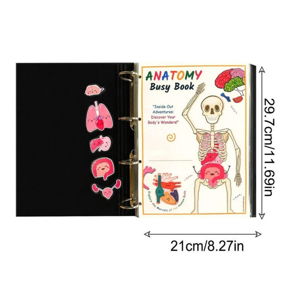Montessori Human Anatomy Busy Book Autism Sensory Toys Preschool Learning Activities Educational Kindergarten Toddler Busy Book