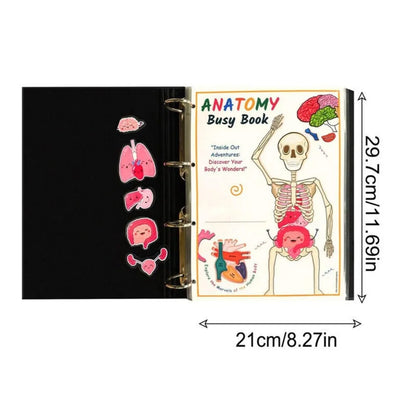 Montessori Human Anatomy Busy Book Autism Sensory Toys Preschool Learning Activities Educational Kindergarten Toddler Busy Book