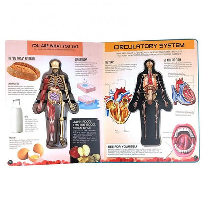 Human Body Structure 3D Picture Anatomy English Popular Science Book Early Education Books Kid Gifts