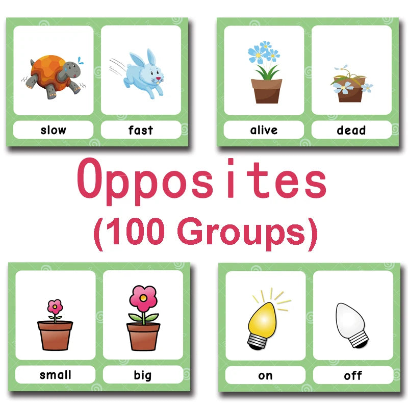 Read & Write English: 120 Groups Opposites Synonyms English Flashcards Word Card Games for Kids Baby Learning Educational Toys For Children Montessori