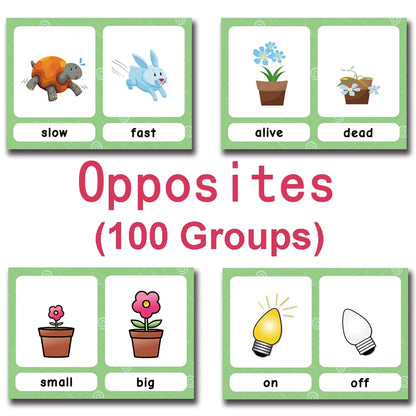 Read & Write English: 120 Groups Opposites Synonyms English Flashcards Word Card Games for Kids Baby Learning Educational Toys For Children Montessori