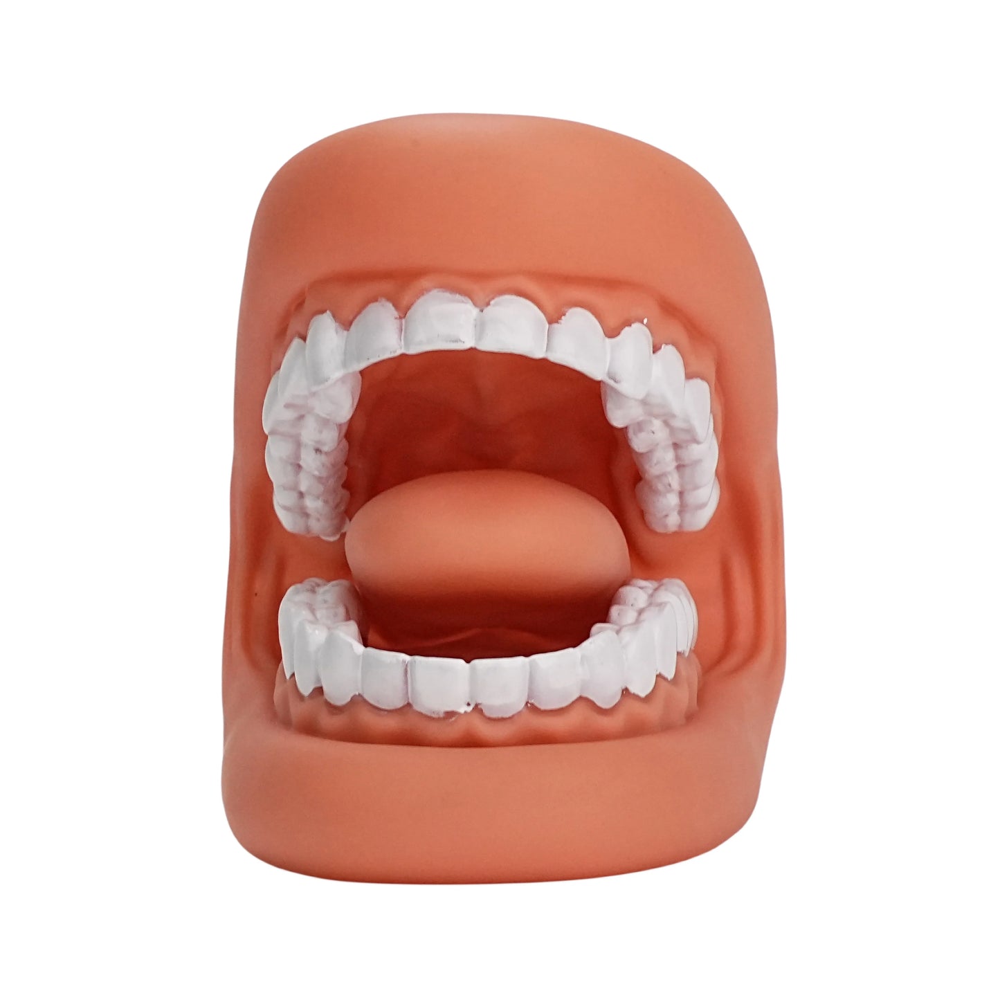 Children's Mouth Puppets, 28 Teeth Tongue Mouth Puppet with Toothbrush, Autism Educational Material for Speech Enhancement