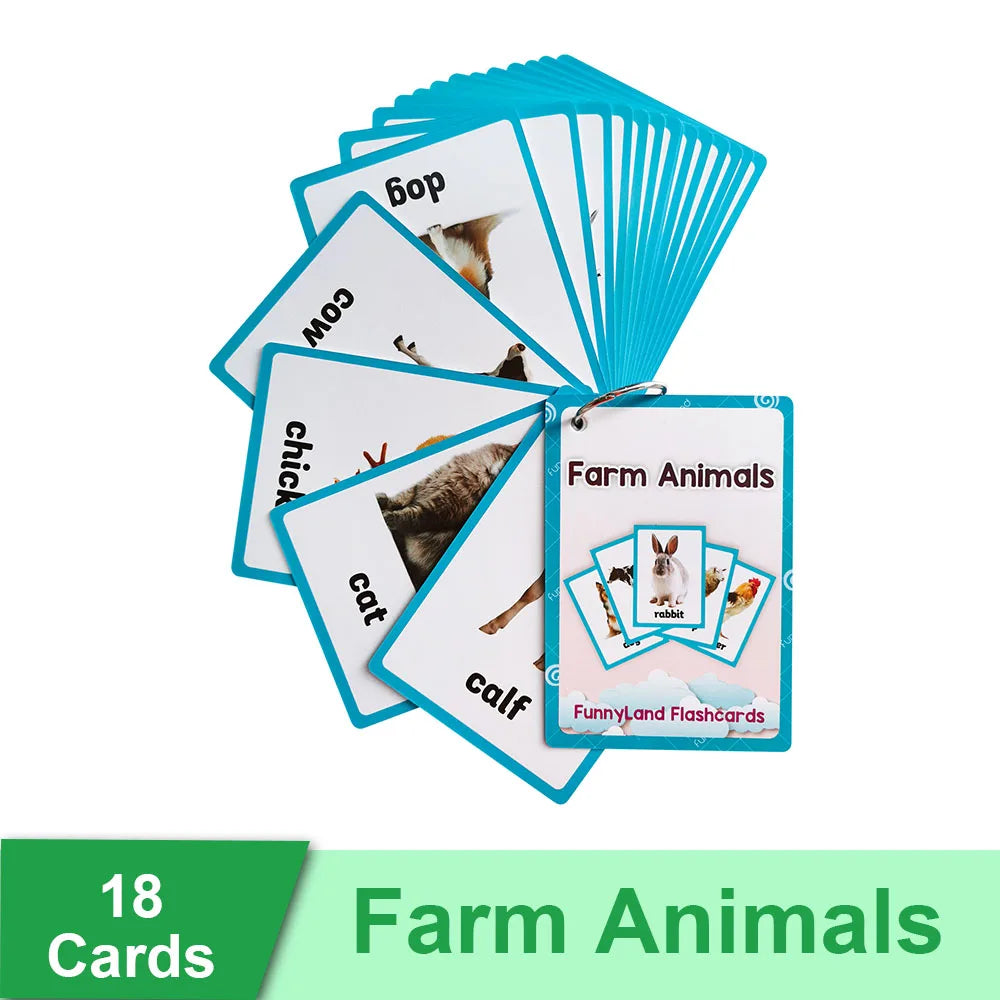 Read & Write English: Kids 3-8 Years English Words Cards Vocabulary Building Montessori Learning Toys Kindergarten Teaching Aids Educational Flashcard