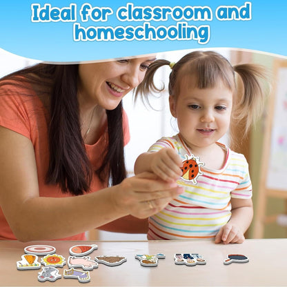 CVC Word Games,50 Magnetic Foam Objects,Fridge Magnets for Kids,Speech Therapy T