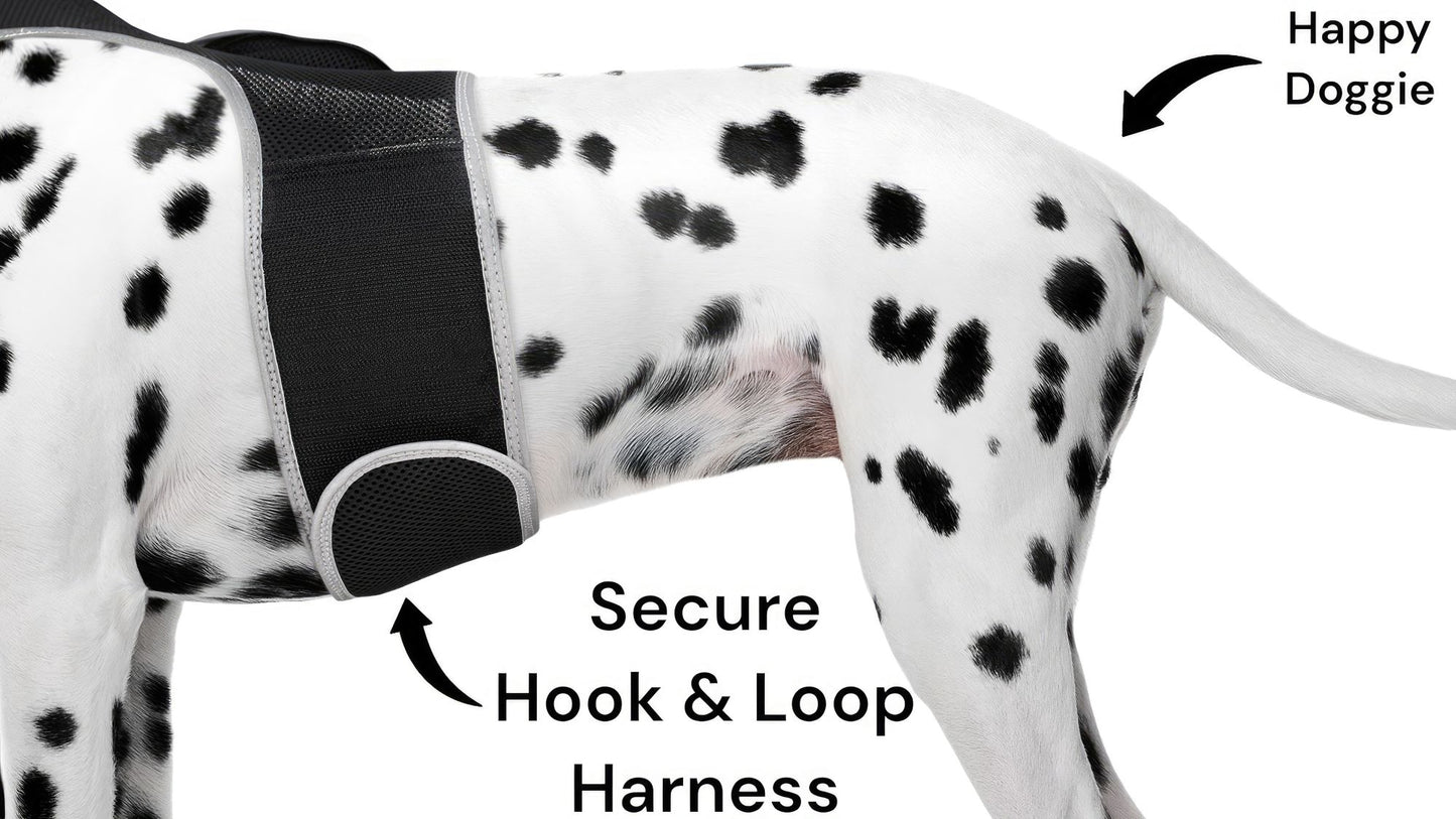Dog Tracking Wireless Systems(Mini GSM GPS) with Alarm(Size M)