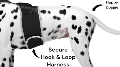 Dog Tracking Wireless Systems(Mini GSM GPS) with Alarm(Size M)