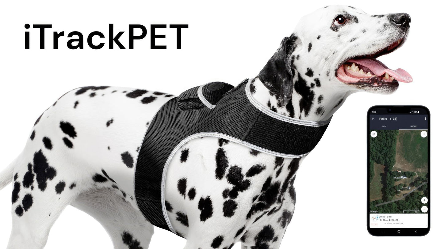 Dog Tracking Wireless Systems(Mini GSM GPS) with Alarm(Size M)