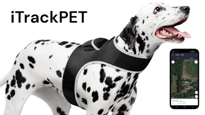 Dog Tracking Wireless Systems(Mini GSM GPS) with Alarm(Size M)