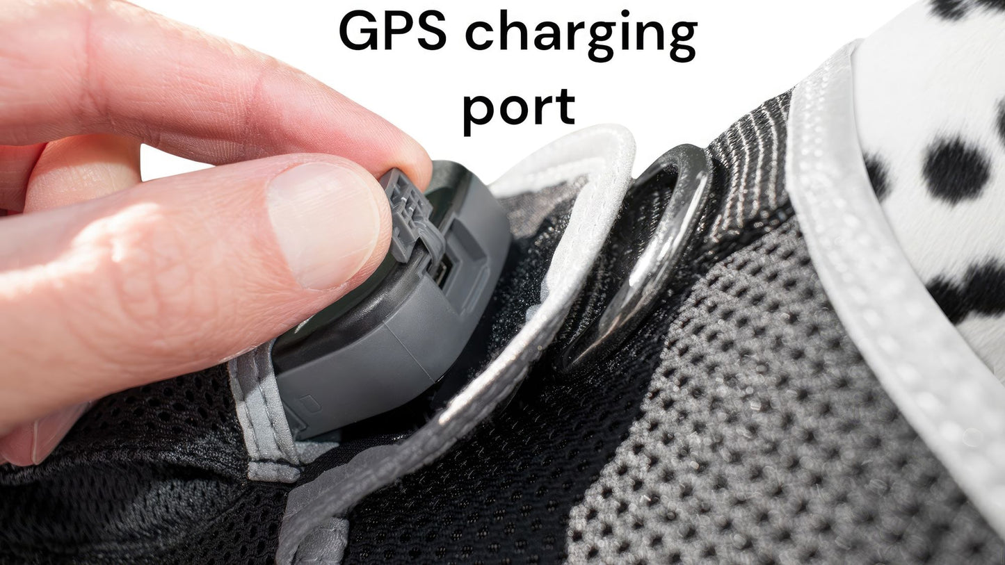 Dog Tracking Wireless Systems(Mini GSM GPS) with Alarm(Size M)