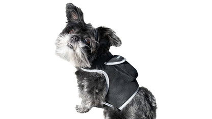 Dog Tracking Wireless Systems(Mini GSM GPS) with Alarm(Size M)