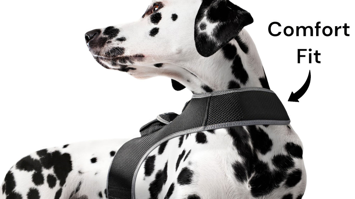 Dog Tracking Wireless Systems(Mini GSM GPS) with Alarm(Size M)