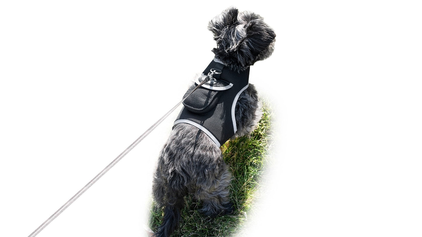 Dog Tracking Wireless Systems(Mini GSM GPS) with Alarm(Size M)