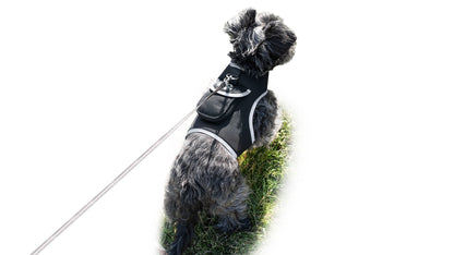 Dog Tracking Wireless Systems(Mini GSM GPS) with Alarm(Size M)