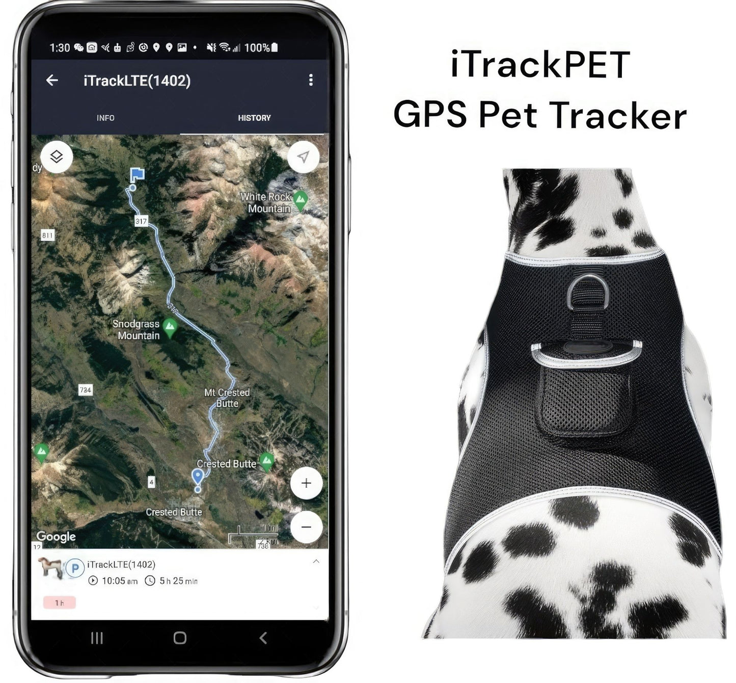 Dog Tracking Wireless Systems(Mini GSM GPS) with Alarm(Size M)