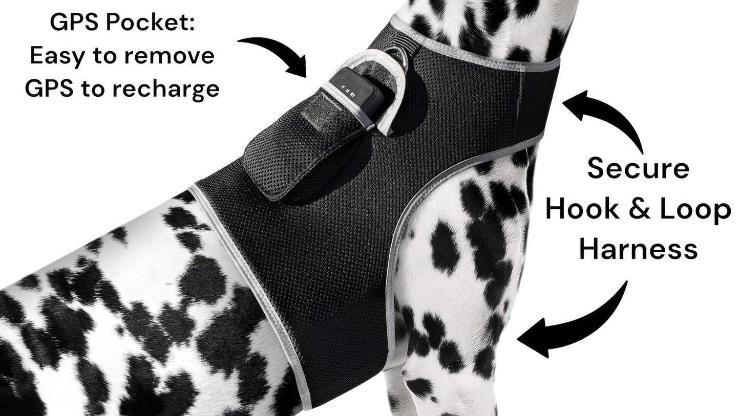 Dog Tracking Wireless Systems(Mini GSM GPS) with Alarm(Size M)