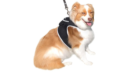 Dog Tracking Wireless Systems(Mini GSM GPS) with Alarm(Size M)