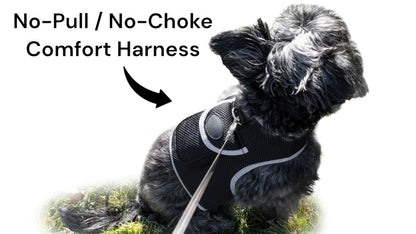 Dog Tracking Wireless Systems(Mini GSM GPS) with Alarm(Size M)