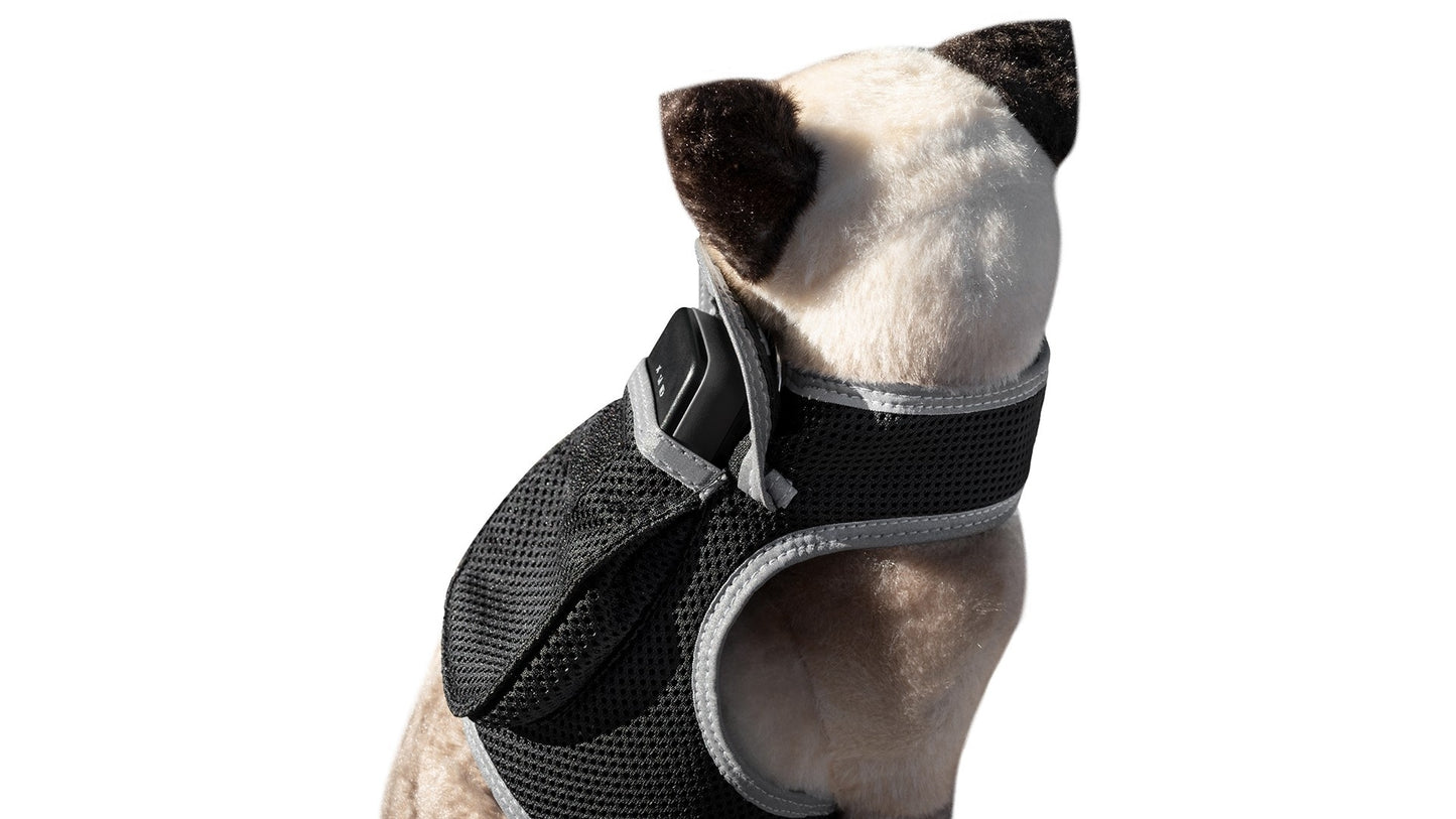 Dog Tracking Wireless Systems(Mini GSM GPS) with Alarm(Size M)