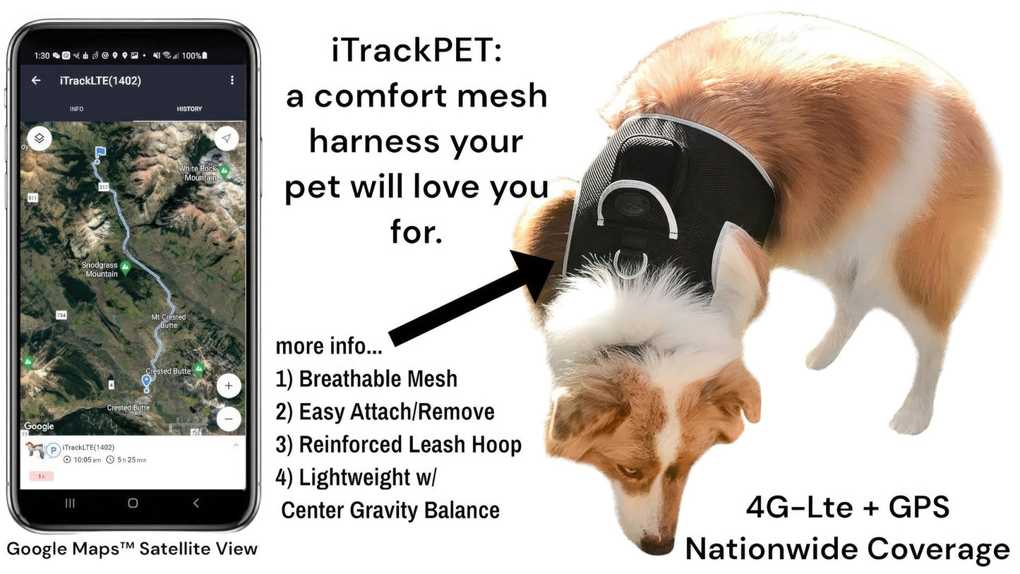 Dog Tracking Wireless Systems(Mini GSM GPS) with Alarm(Size M)