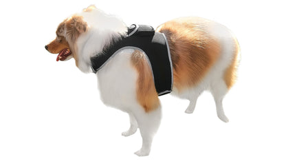 Dog Tracking Wireless Systems(Mini GSM GPS) with Alarm(Size M)