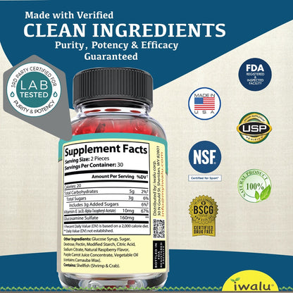 Joint Support Gummies | Neuropathy Pain Relief, Advanced Nerve & Joint